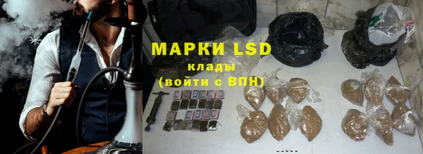 ГАЛЛЮЦИНОГЕННЫЕ ГРИБЫ Бородино