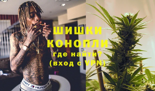 ГАЛЛЮЦИНОГЕННЫЕ ГРИБЫ Бородино