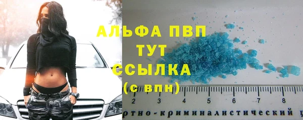 ГАЛЛЮЦИНОГЕННЫЕ ГРИБЫ Бородино