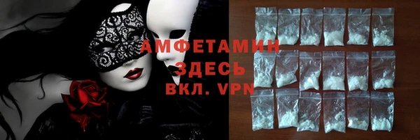 ГАЛЛЮЦИНОГЕННЫЕ ГРИБЫ Бородино