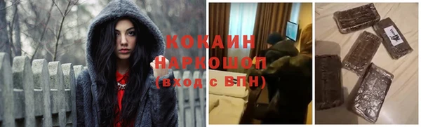 ГАЛЛЮЦИНОГЕННЫЕ ГРИБЫ Бородино