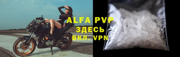 прущие грибы Богородск