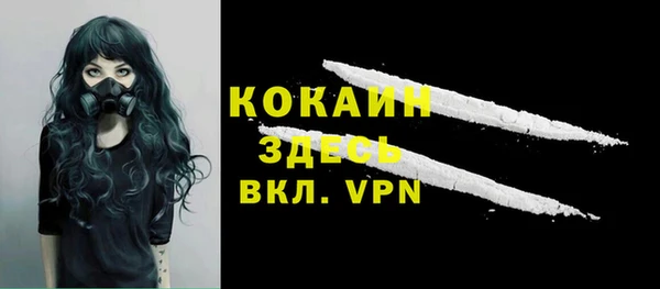 ГАЛЛЮЦИНОГЕННЫЕ ГРИБЫ Бородино