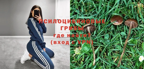apvp Бронницы