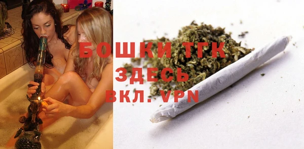 ГАЛЛЮЦИНОГЕННЫЕ ГРИБЫ Бородино